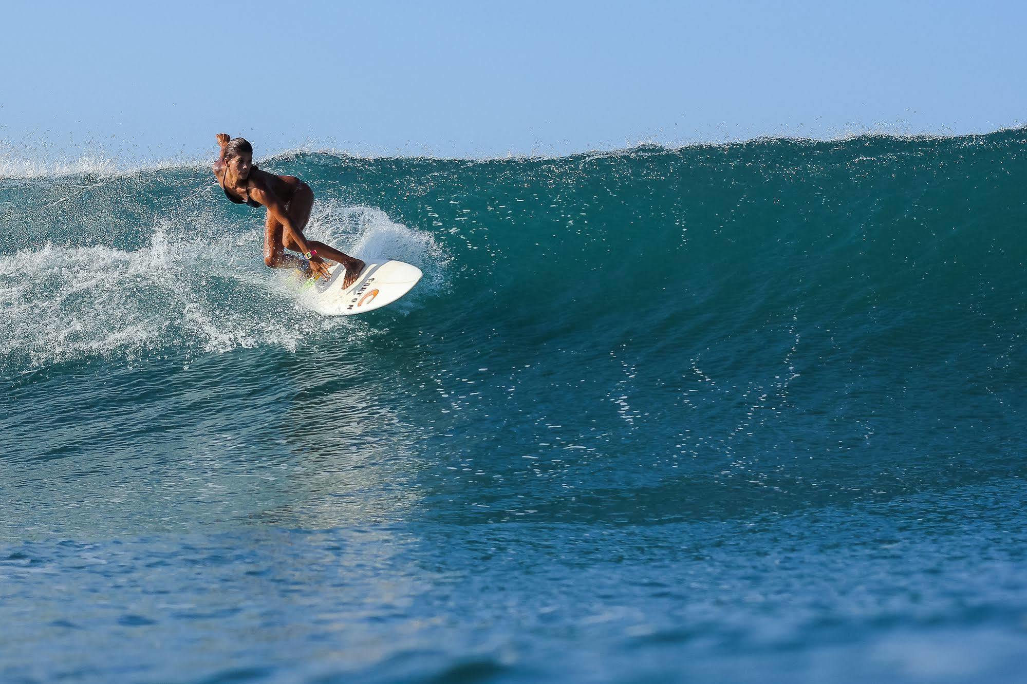 La Negra Surf Hotel Nosara Extérieur photo